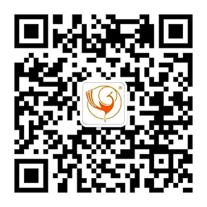 Đây là thông tin mô tả